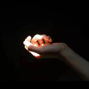 红杏归来张雅丹怀孕小说TXT下载
