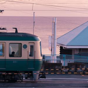 红杏归来张雅丹怀孕小说TXT下载
