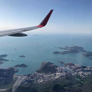 红杏归来张雅丹怀孕小说TXT下载
