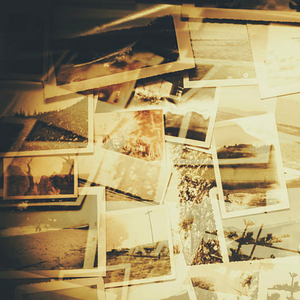 红杏归来张雅丹怀孕小说TXT下载
