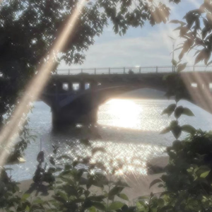 红杏归来张雅丹怀孕小说TXT下载
